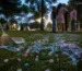 gender reveal confetti