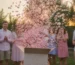 gender reveal confetti